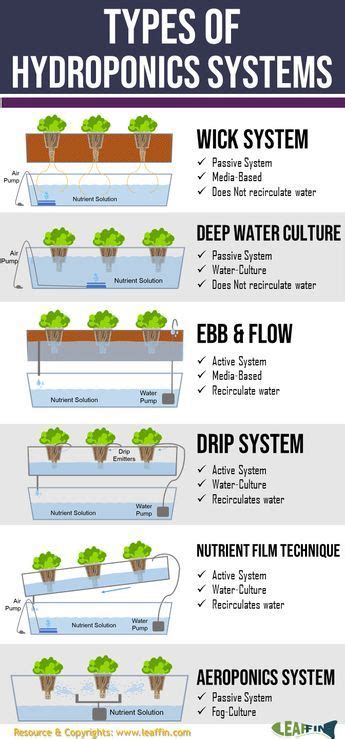 How Different Hydroponics Growing System Works? [Pros & Cons ...