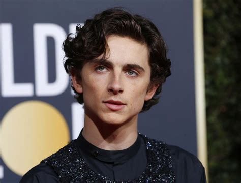 Timothee Chalamet 2024 Golden Globes - Alysa Bertina