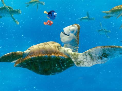 Sea Turtles Wallpapers - Wallpaper Cave