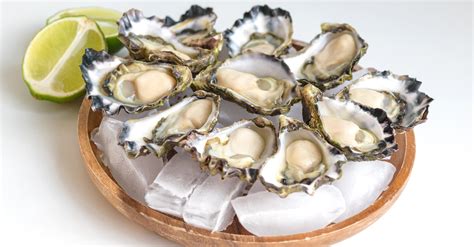 Sydney Rock Oyster | Local Rock Oysters From Sydney, Australia