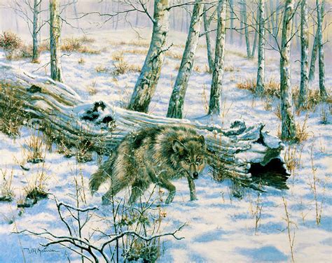 Snow Wolf Painting by Bill Makinson - Fine Art America