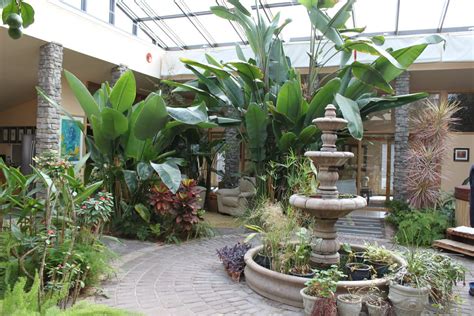 Garden Atrium - Tropical - Hall - DC Metro - by Sustainable Design ...