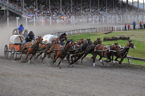 Professional Chuckwagon & Chariots - Manitoba Stampede