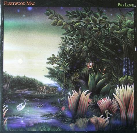 Fleetwood Mac - Big Love | Releases, Reviews, Credits | Discogs