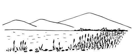 Simple Vector Black Outline Drawing In Doodle Style Lake Overgrown Shore Reeds Mountains On The ...