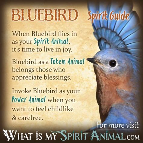 Bird spirit – Artofit