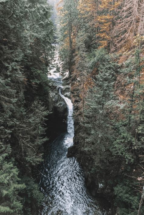 Lynn Canyon Suspension Bridge: The Most Complete Guide (by a Local)