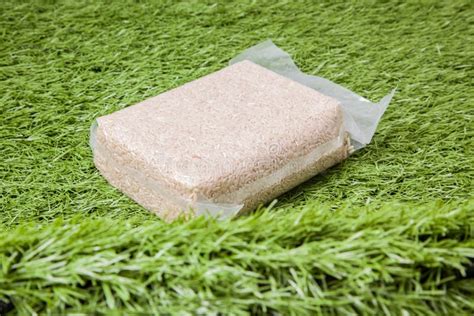 Jasmine Brown Rice in Vacuum Plastic Bag Stock Photo - Image of ...