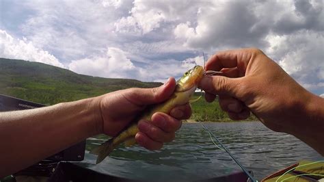 Fly fishing Fish Lake, Utah - YouTube