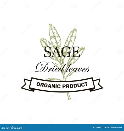 Hand Drawn Sage Logo Design. Vector Illustration in Sketch Style Stock Vector - Illustration of ...