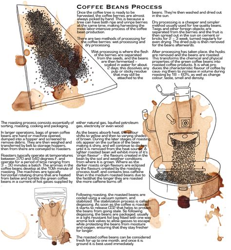 100 Coffee Facts: Coffee Bean Process