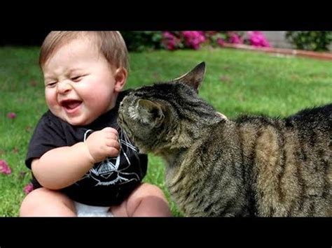 Best BABIES LAUGHING at ANIMALS! - CAUTION; Extremely funny compilation! - YouTube