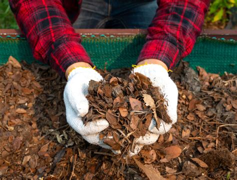 Guide to Composting Leaves