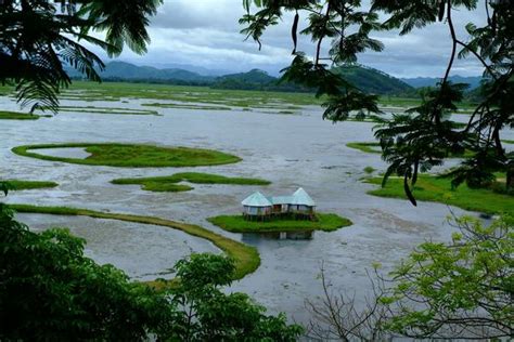 Keibul Lamjao - National Park, Manipur