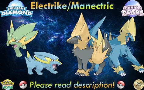 Shiny/non-shiny Electrike/manectric 6IV Brilliant - Etsy