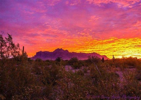 Purple mountain majesty | Purple mountain majesty, Picture, My pictures