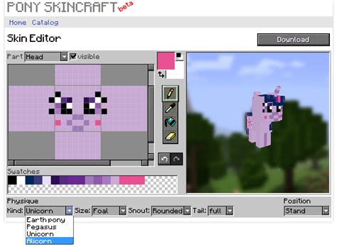 Pony Skin Creator - Skins - Mapping and Modding: Java Edition ...