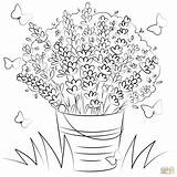 Lavender coloring Page  Free Printable Coloring Pages sketch template