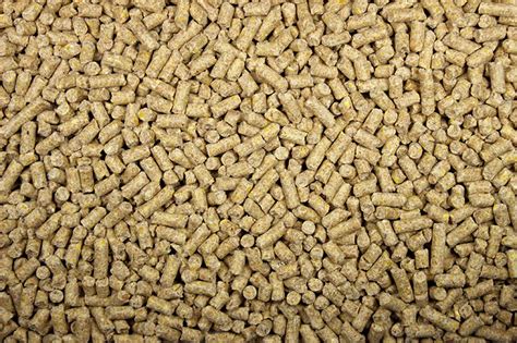 Pigeon Pellets 16.00% – Leach Grain & MIlling