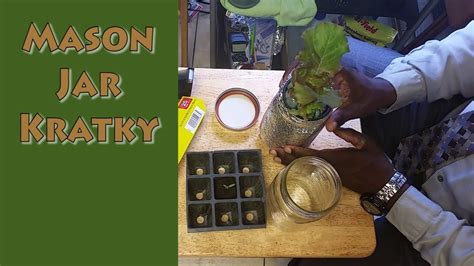 Growing in a Mason Jar Using the Kratky Method | Aquaponics, Hydroponic gardening mason jars ...