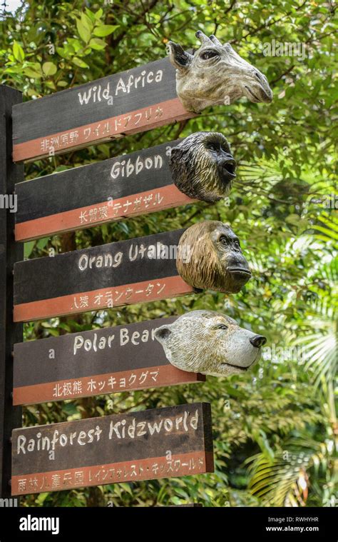 Asia, Singapore, zoo signage Stock Photo - Alamy