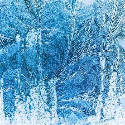 Frost On A Window Free Stock Photo - Public Domain Pictures