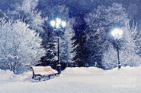 Winter Night Landscape Scene Of Snow Photograph by Marina Zezelina - Fine Art America