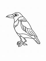 Crow coloring page sketch template