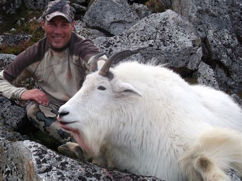 MOUNTAIN GOAT HUNTS | Hunt Alaska Outfitters