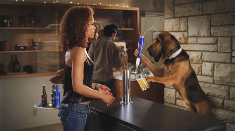 Top 10 Funniest Budweiser Super Bowl Commercials of All Time (Best Bud L... | Super bowl ...