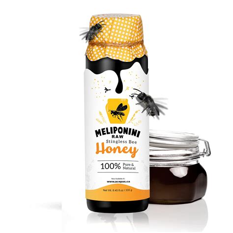 Buy Meliponini - Stingless Bee Honey, Antioxidant-Rich Raw Honey, A Powerful Alternative to ...