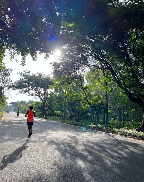 Bangalore University Campus: The Unsung Carbon Sink | Roundglass | Sustain