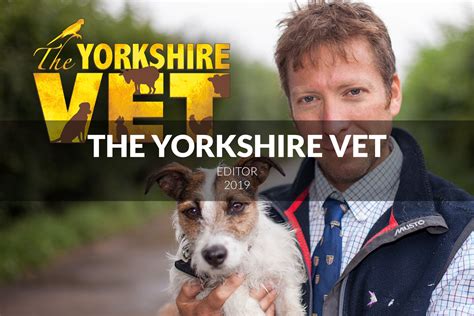 The Yorkshire Vet | Mandy Tranter Freelance Avid Editor