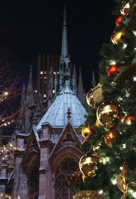 St Patricks cathedral NYC, Christmas time New York Christmas Tree ...