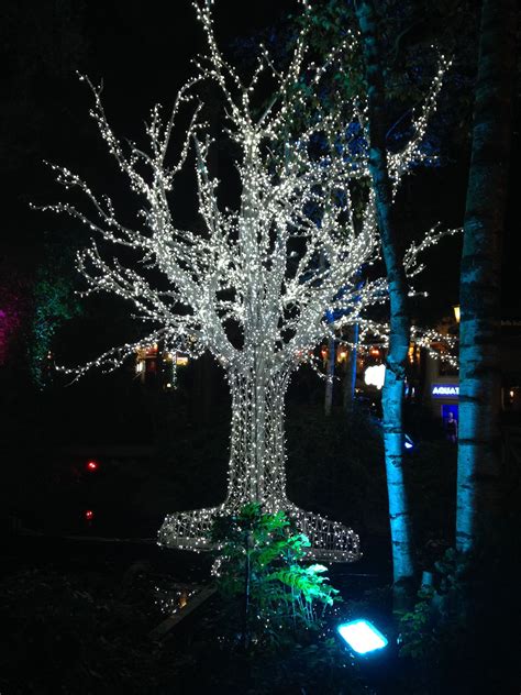 Winter Wonderland at Center Parcs | Center parcs, Center parcs uk ...