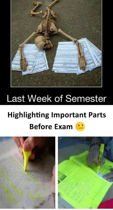 TOP 28 EXAM MEMES COLLEGES | Exams memes, Exam quotes funny, Exams funny