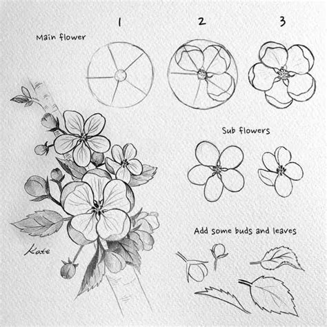 12 Flower Drawing Easy Tutorials For Beginners To Draw | Flower drawing tutorials, Flower ...