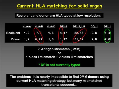 PPT - Structurally based HLA matching: A Useful Tool to Fill the Gaps ...