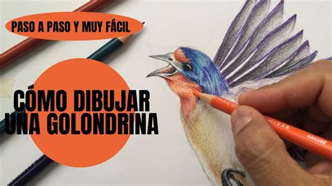 Agregar más de 71 dibujo golondrina para colorear mejor - camera.edu.vn