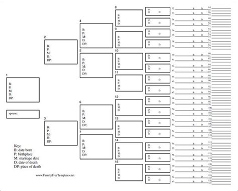 Blank Tree Diagram Template – Atlanticcityaquarium.com