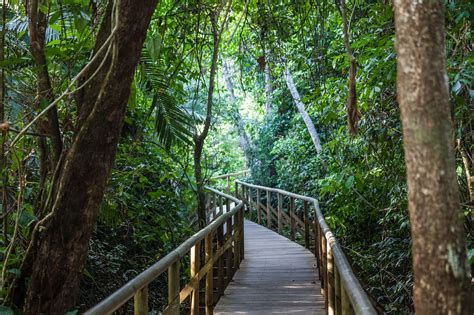 Manuel Antonio National Park: The Ultimate Guide | Selina