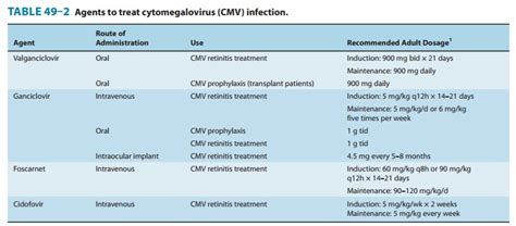 Agents to Treat Cytomegalovirus CMV Infections