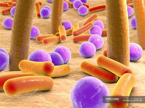 Bacteria on human skin — microbe, microflora - Stock Photo | #160565138