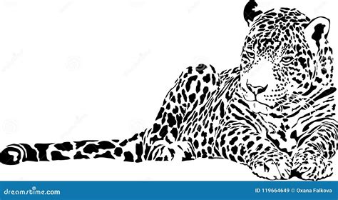 Jaguar stock vector. Illustration of carnivore, object - 119664649