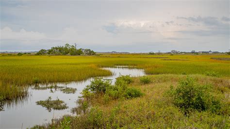 Fort Mose Historic State Park, St. Augustine holiday accommodation: holiday houses & more | Stayz