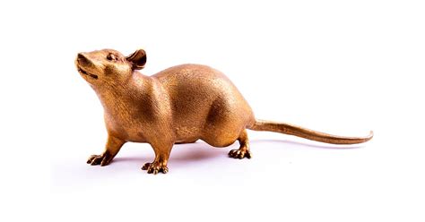 Bronze sculpture Rat, Naturalistic figure is perfect for home interior,