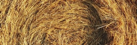 6 Tips - Practical Horse Hay Storage | Kit Buildings Direct