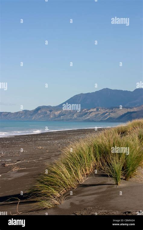 Black sand beach in New Zealand Stock Photo - Alamy