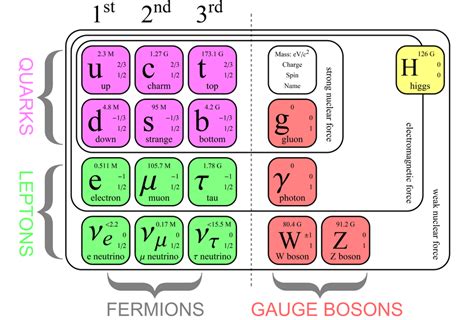 1: The Standard Model of particle physics, with quarks (purple),... | Download Scientific Diagram