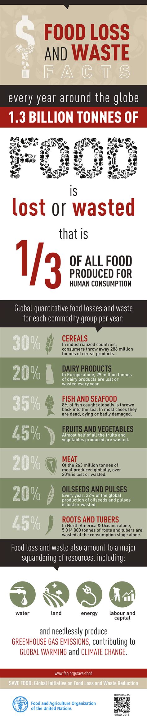 Food loss and waste facts | Connect4Climate